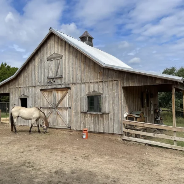 Barns Across Texas: Photo of barn and horse
